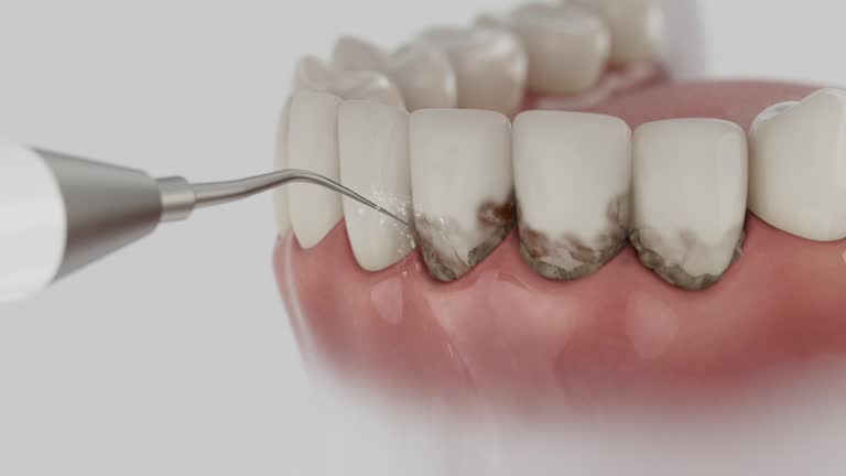 Reliable Dental contractor in Nipomo, CA by Dentist Open Now